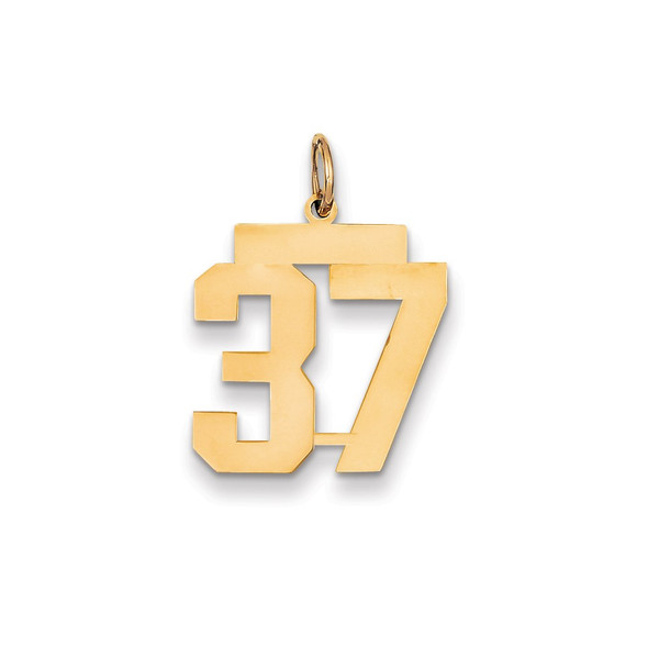 14k Yellow Gold Medium Polished Number 37 Charm LM37