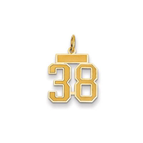 14k Yellow Gold Small Satin Number 38 Charm