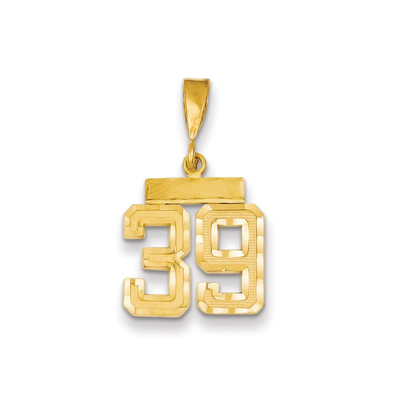 14k Yellow Gold Small Diamond-Cut Number 39 Charm