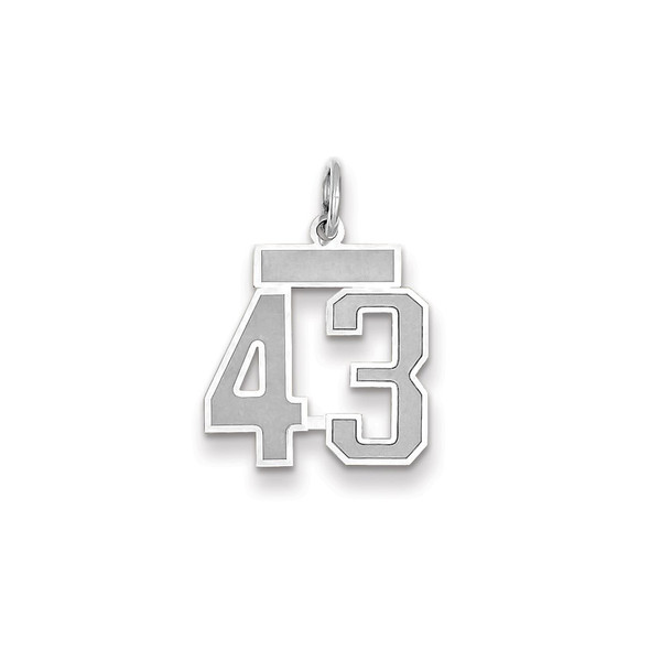 14k White Gold Small Satin Number 43 Charm