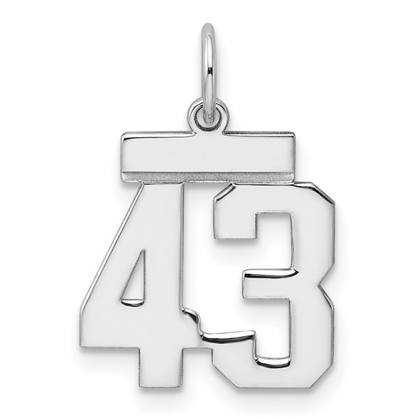 Sterling Silver Rhodium-plated Small Polished Number 43 Charm