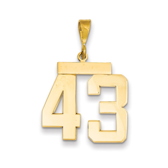 14k Yellow Gold Large Polished Number 43 Charm