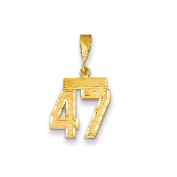 14k Yellow Gold Small Diamond-Cut Number 47 Charm