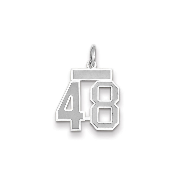 14k White Gold Small Satin Number 48 Charm