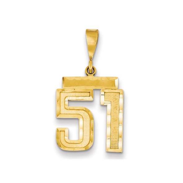 14k Yellow Gold Medium Diamond-Cut Number 51 Charm