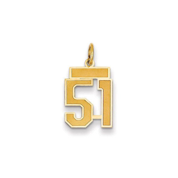 14k Yellow Gold Small Satin Number 51 Charm