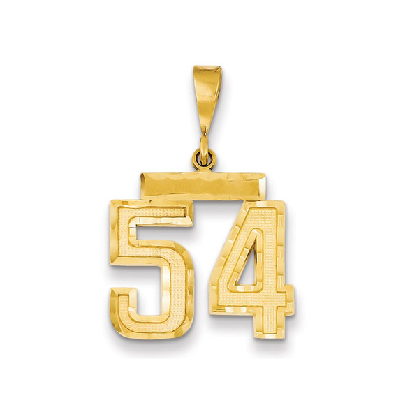 14k Yellow Gold Medium Diamond-Cut Number 54 Charm