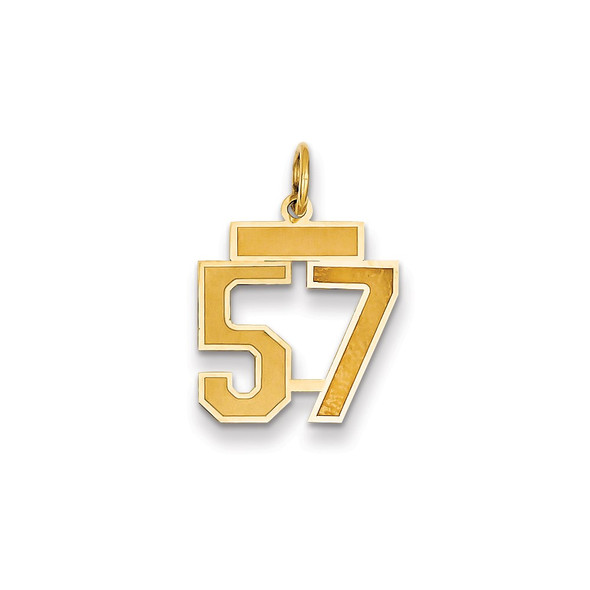 14k Yellow Gold Small Satin Number 57 Charm