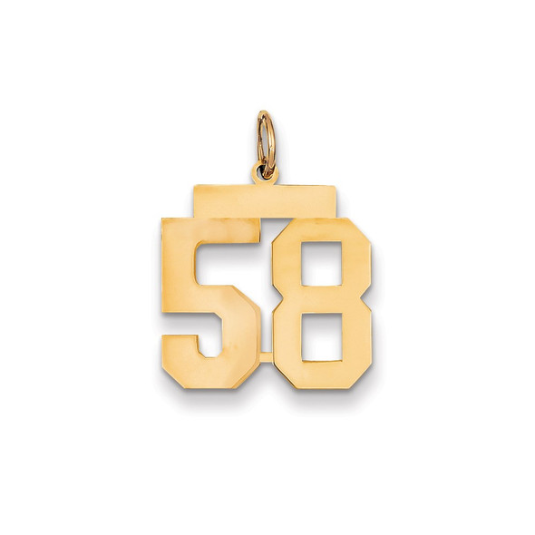14k Yellow Gold Medium Polished Number 58 Charm LM58
