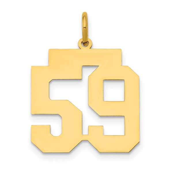 14k Yellow Gold Medium Polished Number 59 Charm LM59