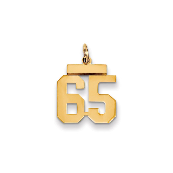 14k Yellow Gold Small Polished Number 65 Charm LS65