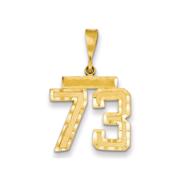 14k Yellow Gold Medium Diamond-Cut Number 73 Charm