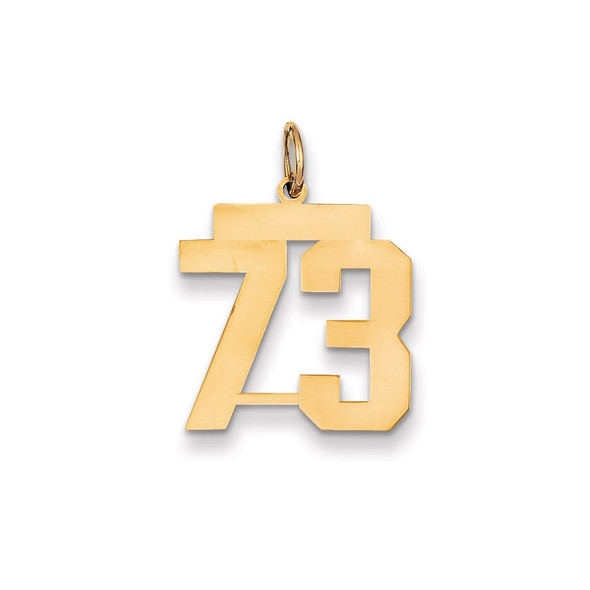 14k Yellow Gold Medium Polished Number 73 Charm LM73