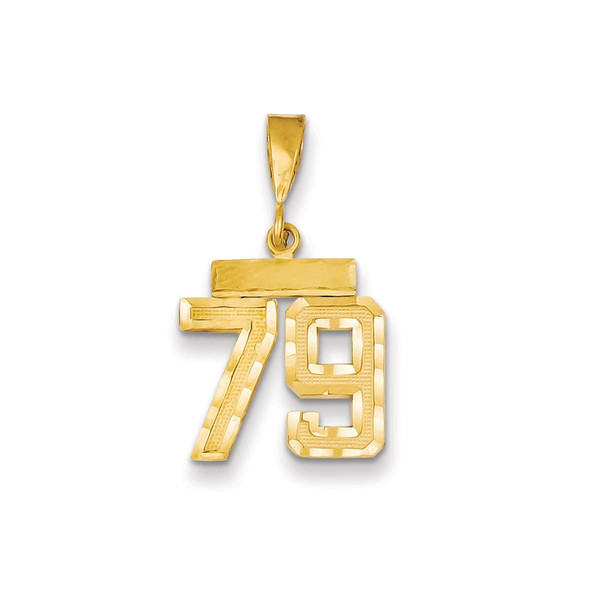 14k Yellow Gold Small Diamond-Cut Number 79 Charm