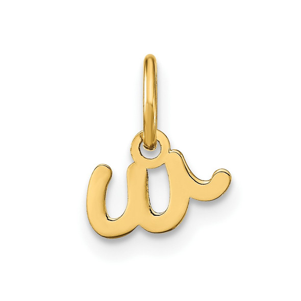 14k Yellow Gold Lower Case Letter W Initial Charm