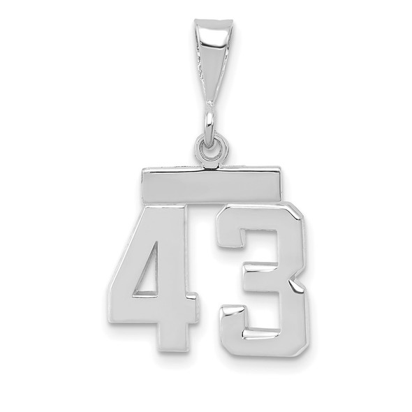 14k White Gold Small Polished Number 43 Pendant