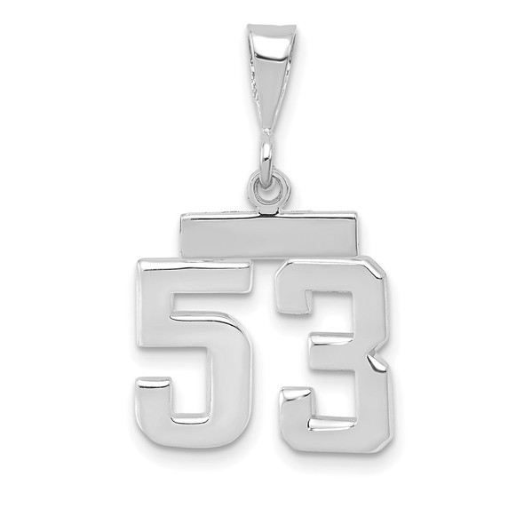 14k White Gold Small Polished Number 53 Pendant