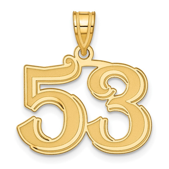 14k Yellow Gold Polished Etched Number 53 Pendant