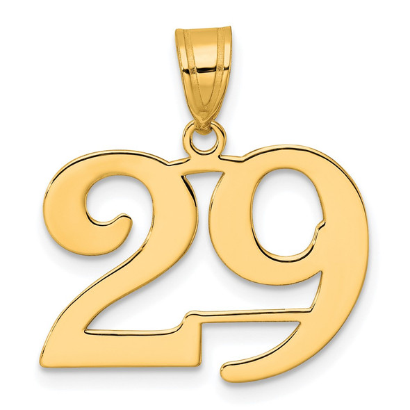 14k Yellow Gold Polished Number 29 Pendant