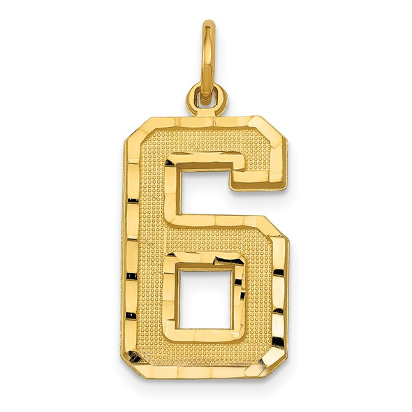 10K Yellow Gold Casted Large Diamond-cut Number 6 Charm