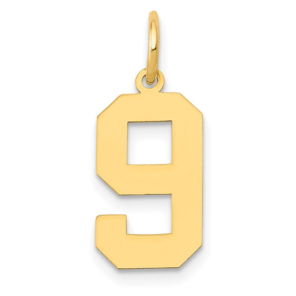 14k Yellow Gold Medium Polished Number 9 Charm