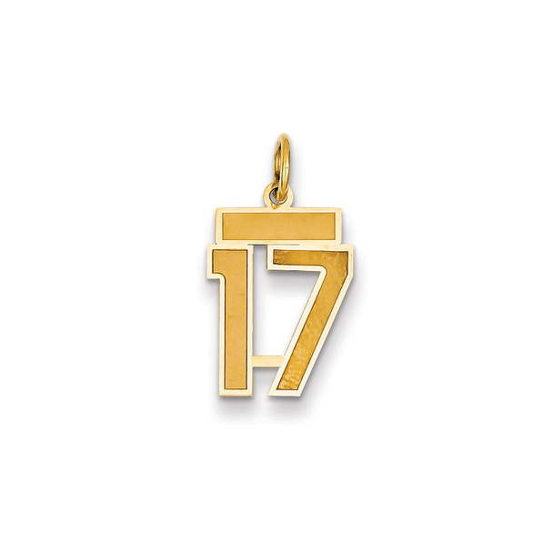 14k Yellow Gold Small Satin Number 17 Charm
