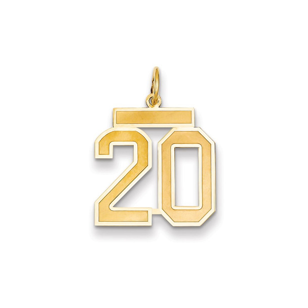 14k Yellow Gold Medium Satin Number 20 Charm