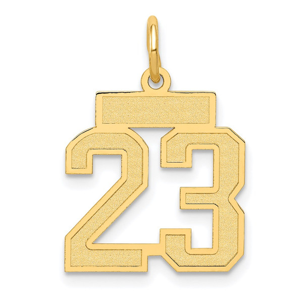 14k Yellow Gold Small Satin Number 23 Charm