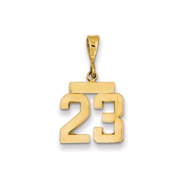 14k Yellow Gold Small Polished Number 23 Charm SP23