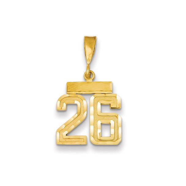 14k Yellow Gold Small Diamond-Cut Number 26 Charm