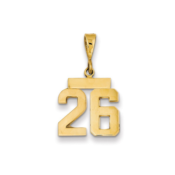 14k Yellow Gold Small Polished Number 26 Charm SP26