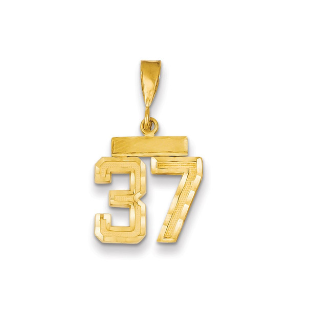 14k Yellow Gold Small Diamond-Cut Number 37 Charm
