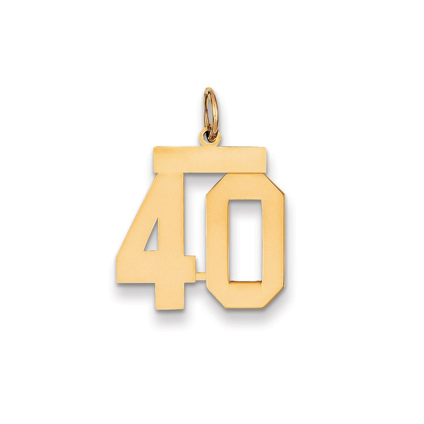 14k Yellow Gold Medium Polished Number 40 Charm LM40