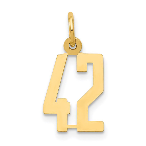 14k Yellow Gold Small Polished Elongated 42 Charm