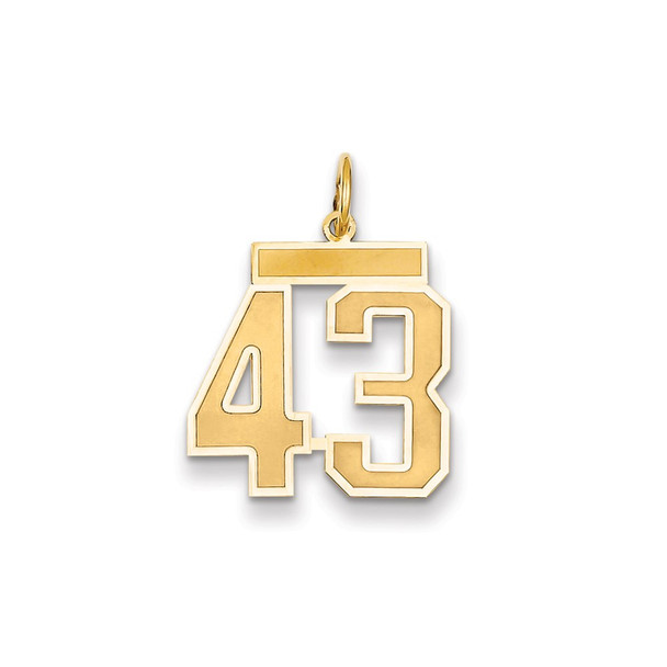 14k Yellow Gold Medium Satin Number 43 Charm