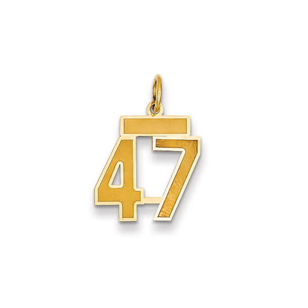 14k Yellow Gold Small Satin Number 47 Charm