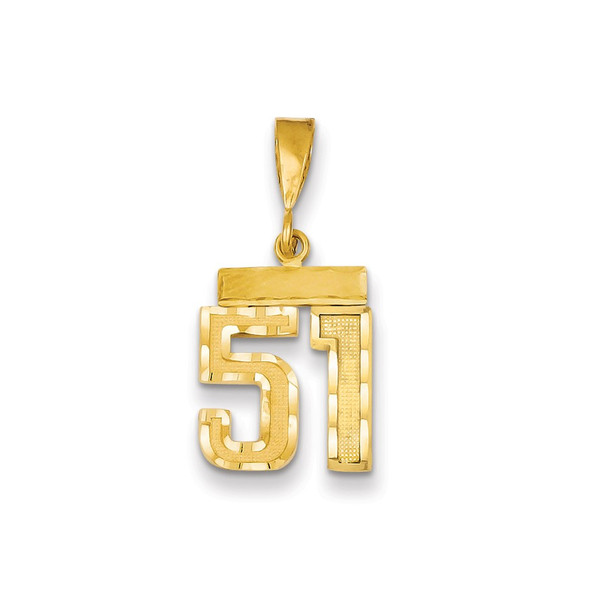 14k Yellow Gold Small Diamond-Cut Number 51 Charm