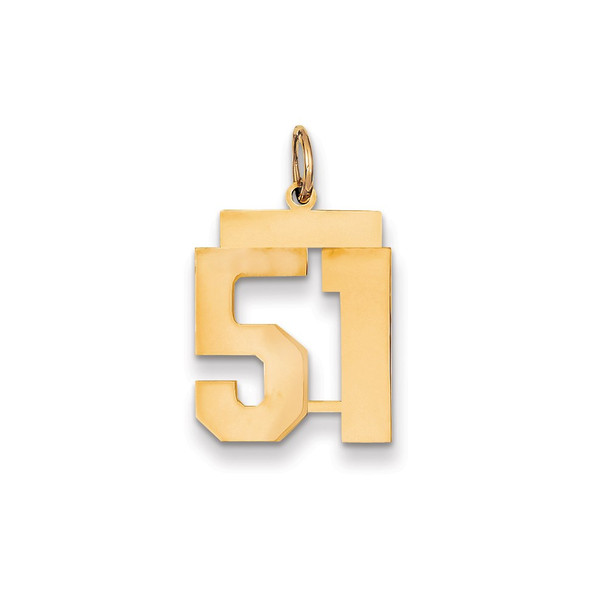 14k Yellow Gold Medium Polished Number 51 Charm LM51