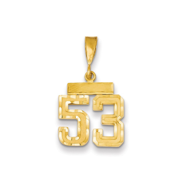 14k Yellow Gold Small Diamond-Cut Number 53 Charm