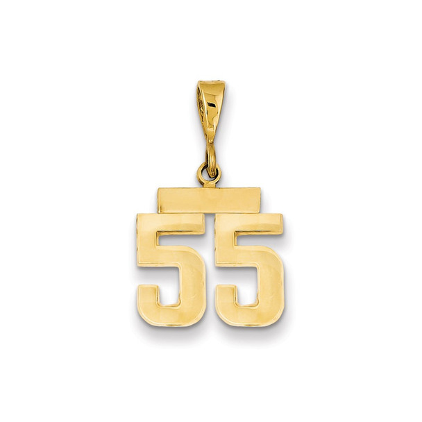 14k Yellow Gold Small Polished Number 55 Charm SP55