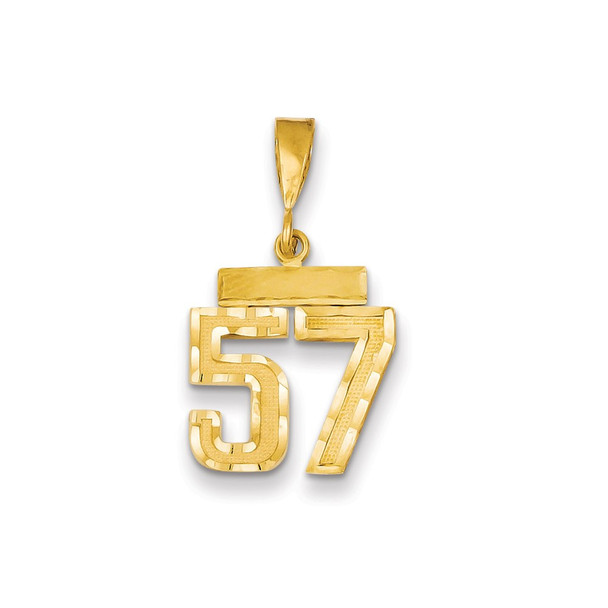 14k Yellow Gold Small Diamond-Cut Number 57 Charm