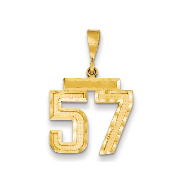 14k Yellow Gold Medium Diamond-Cut Number 57 Charm