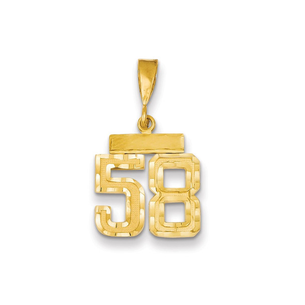 14k Yellow Gold Small Diamond-Cut Number 58 Charm