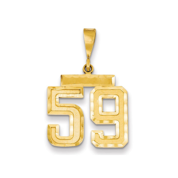 14k Yellow Gold Medium Diamond-Cut Number 59 Charm