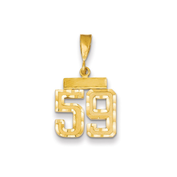 14k Yellow Gold Small Diamond-Cut Number 59 Charm