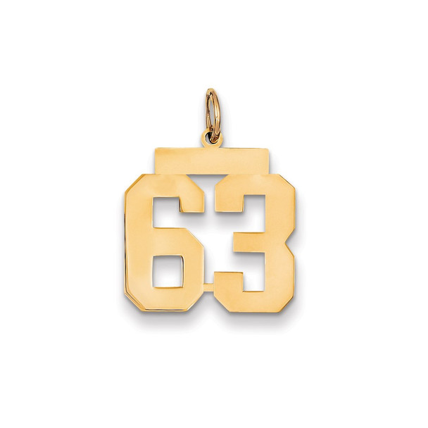 14k Yellow Gold Medium Polished Number 63 Charm LM63