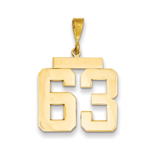 14k Yellow Gold Large Polished Number 63 Charm