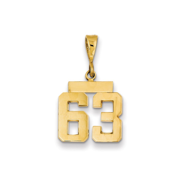 14k Yellow Gold Small Polished Number 63 Charm SP63