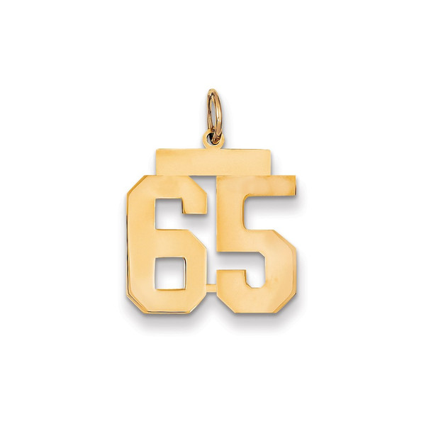 14k Yellow Gold Medium Polished Number 65 Charm LM65