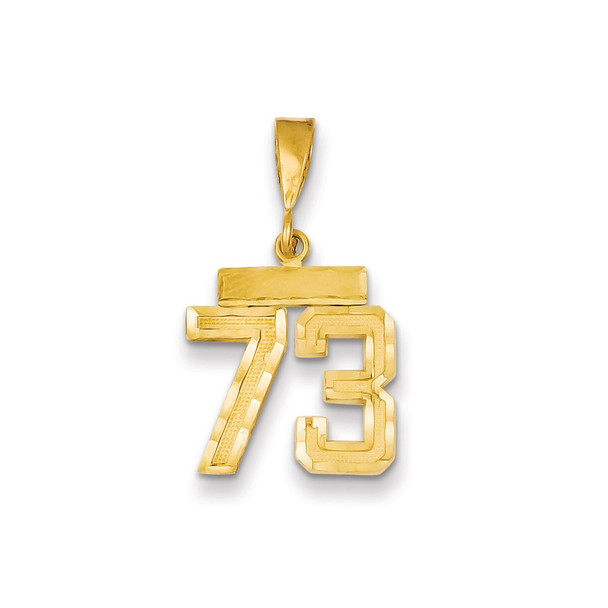 14k Yellow Gold Small Diamond-Cut Number 73 Charm